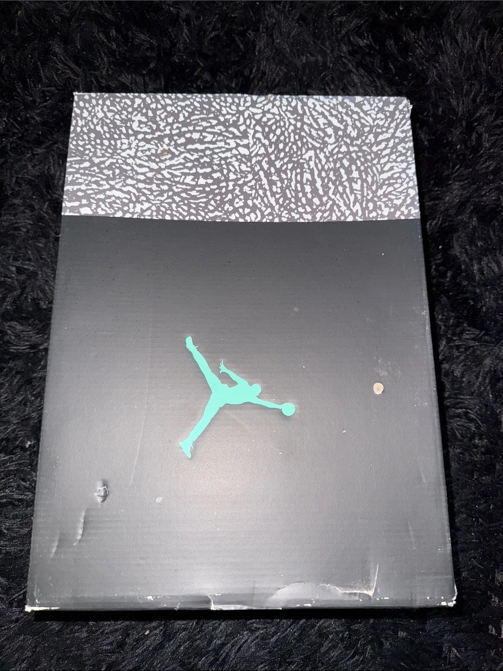 Jordan 3s iconic